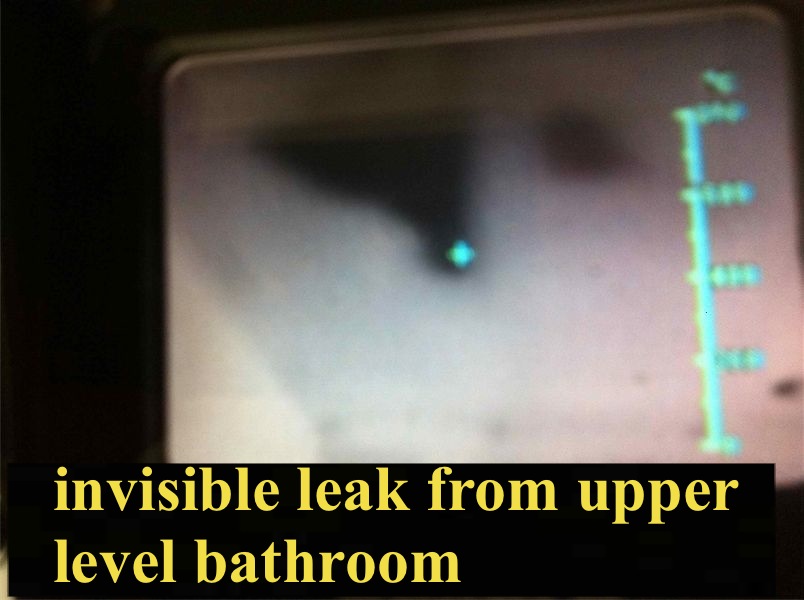 Building inspection, Thermal imaging is more than just a pretty stud finder. Building Expert