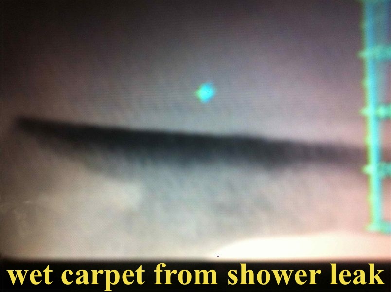 Building inspection, Thermal imaging is more than just a pretty stud finder. Building Expert